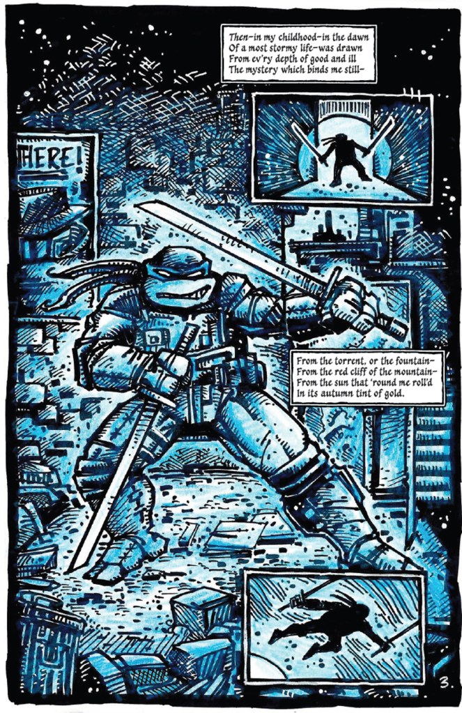 Teenage Mutant Ninja Turtles Mirage 1 by Kevin Eastman