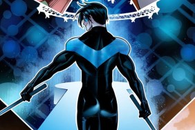 Nothing Butt Nightwing Cover cropped