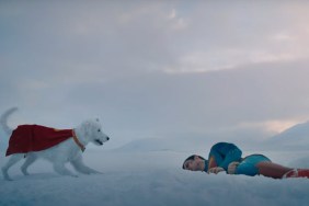 Krypto with injured Superman