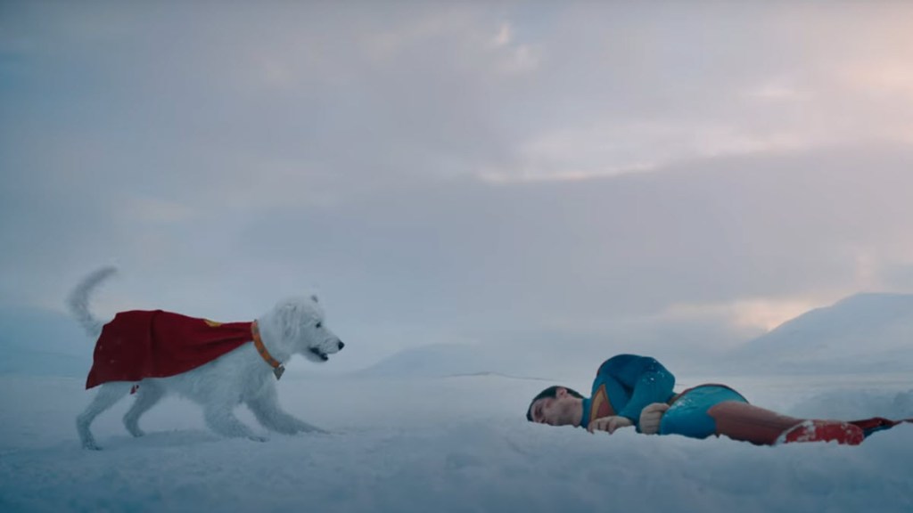 Krypto with injured Superman