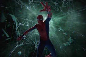 Spider-Man vs. The Hulk: Who Is Stronger & Would Win in a Fight?