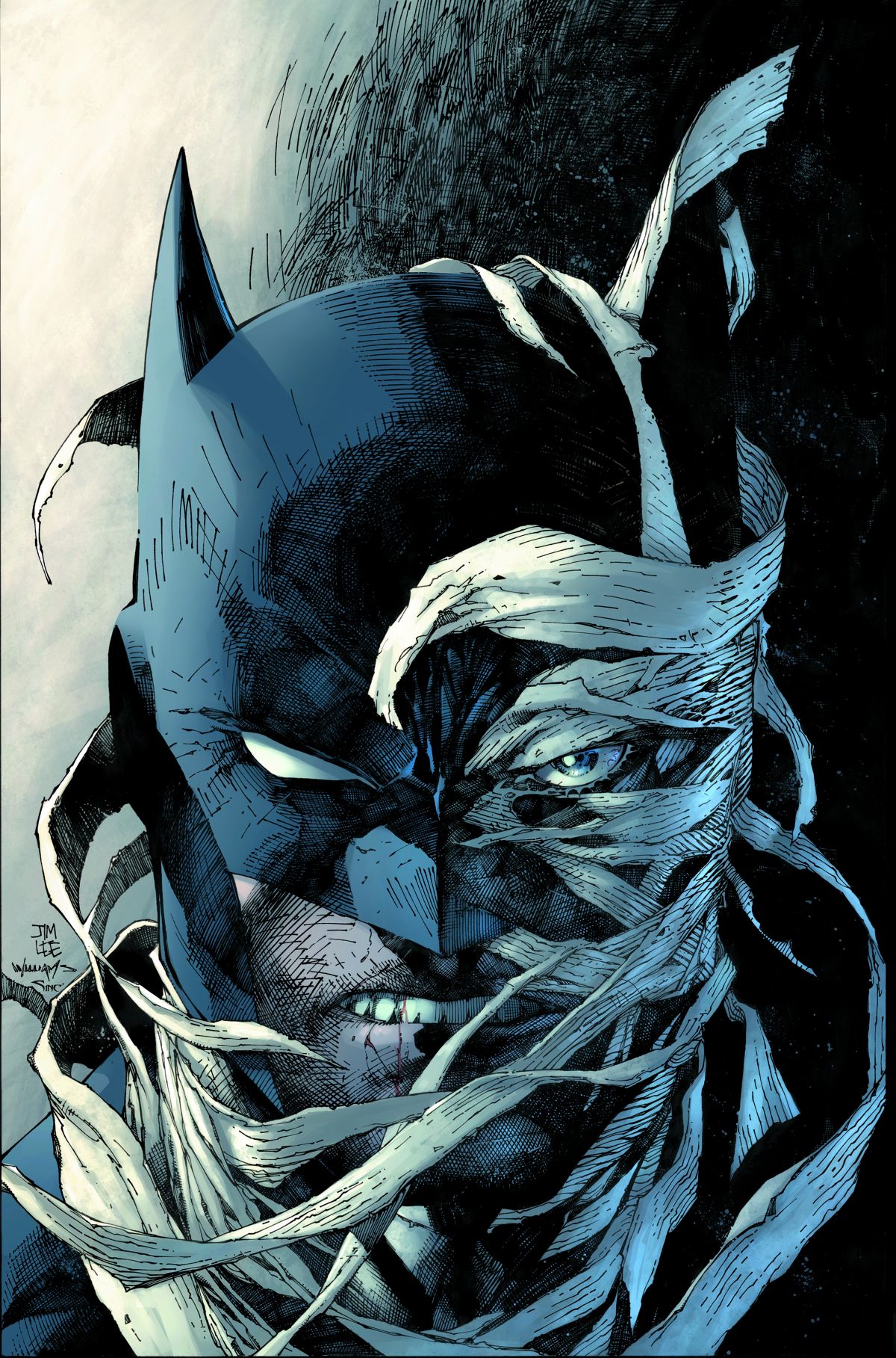 BATMAN: THE HUSH SAGA OMNIBUS HC 