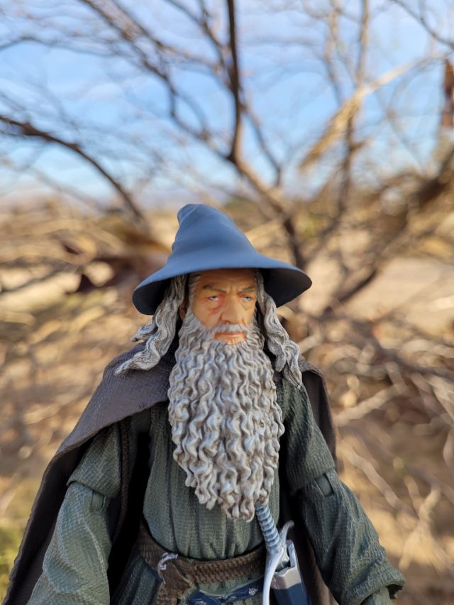 Gandalf the Grey