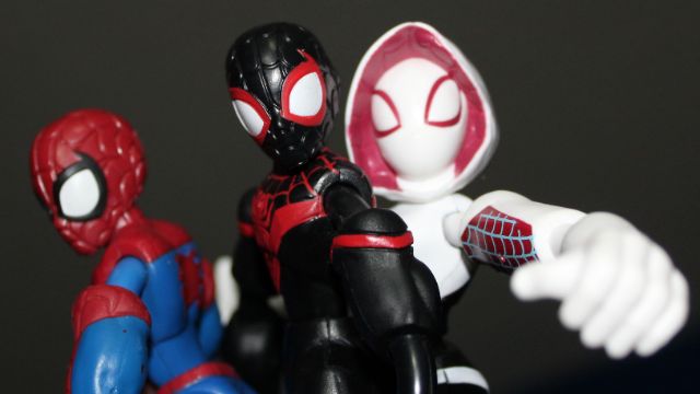 Spider team